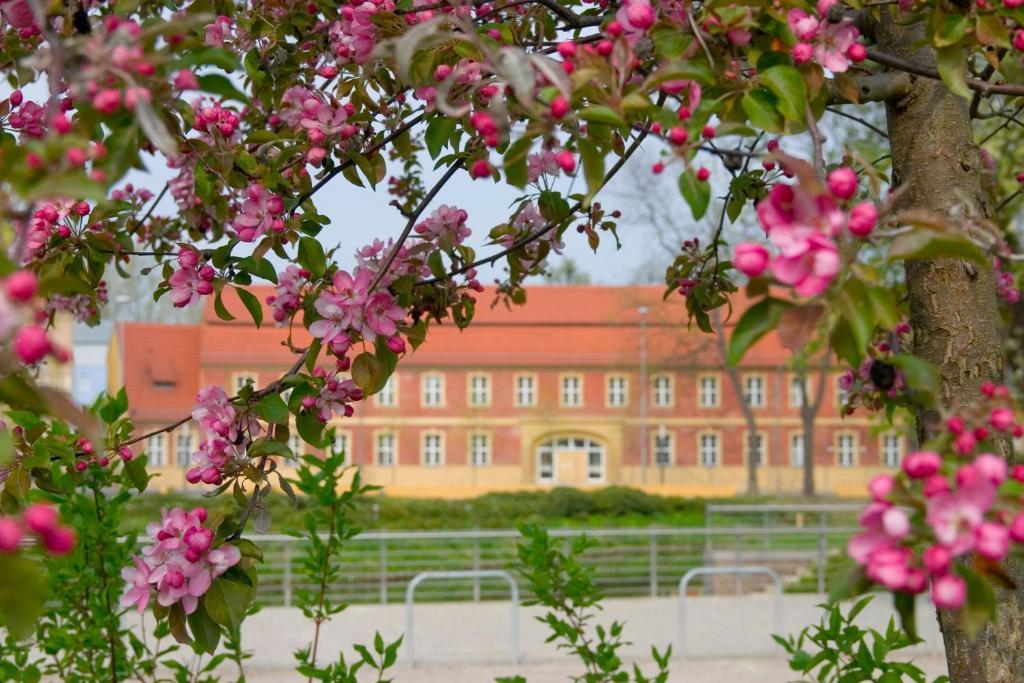 Hotel Vierseithof Luckenwalde Zewnętrze zdjęcie